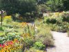 Kräutergarten003.jpg