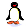 Pingu-White.jpg