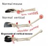 ebay vertical mouse arm not twisted.jpg ebay vertical mouse arm not twisted.jpg