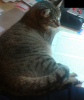 upload_2014-1-25_18-8-32.png