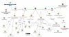 SQ3R_n_CornellNotes-V4.jpg SQ3R_n_CornellNotes-V4.jpg