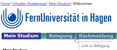 2022-06-04 11_35_27-Virtueller Studienplatz - Mein Studium.png