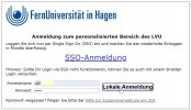 1 - 2024-06-01 19_59_38-Virtueller Studienplatz - Anmeldung_Login für den personalisierten Ber...jpg