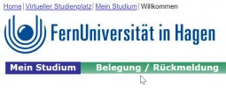 2 - 2024-06-01 20_01_17-Virtueller Studienplatz - Mein Studium.jpg