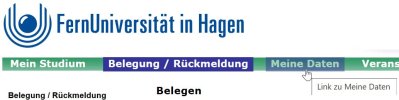19 - 2025-06-07 16_45_29-Virtueller Studienplatz - Belegung (Belegen).jpg