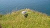 DSC_1779.jpg