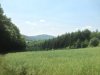 IMG_0301.JPG