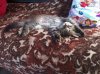 IMG-20150806-WA0011.jpg