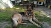 IMG-20150522-WA0010.jpeg IMG-20150522-WA0010.jpeg