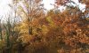 20151101_154447.jpg