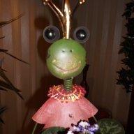 Frogsoul
