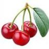 cherry2013