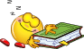 e019.gif