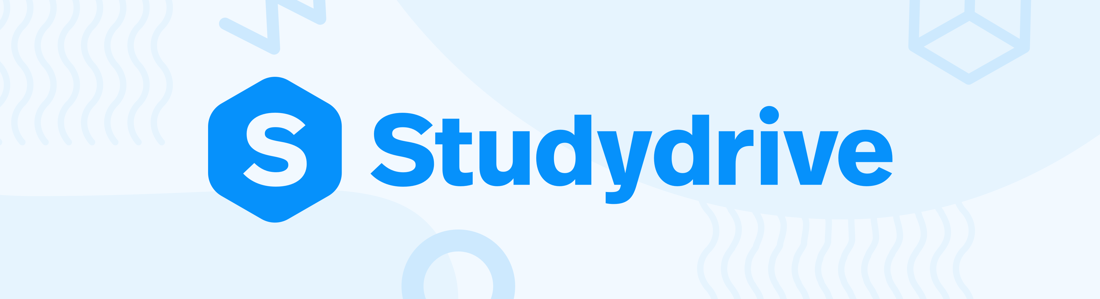 www.studydrive.net
